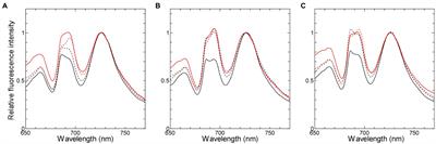 Respiration Interacts With Photosynthesis Through the Acceptor Side of Photosystem I, Reflected in the Dark-to-Light Induction Kinetics of Chlorophyll Fluorescence in the Cyanobacterium Synechocystis sp. PCC 6803